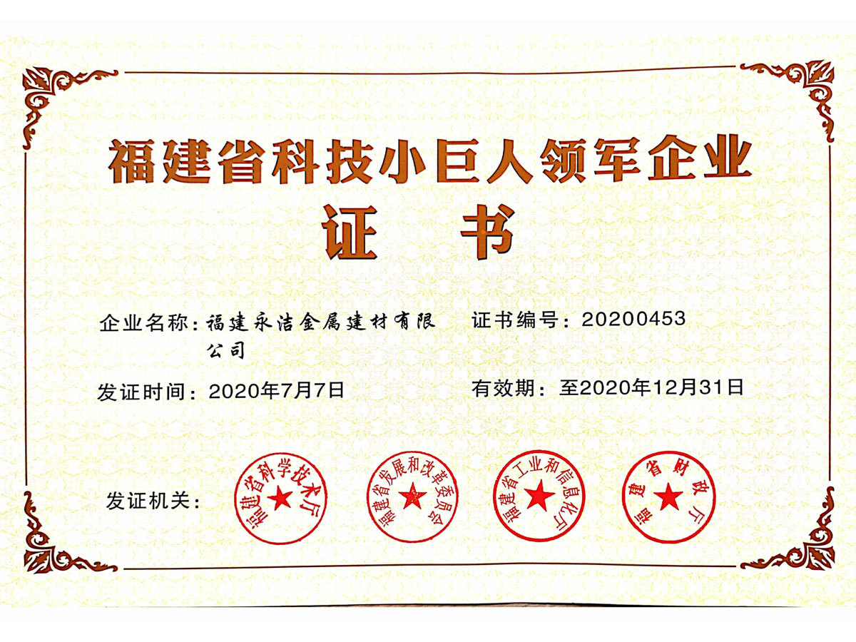 小(xiǎo)巨人領軍企業